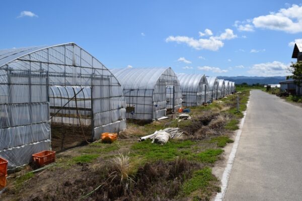 特定農作業従事者をさらに詳しく解説！